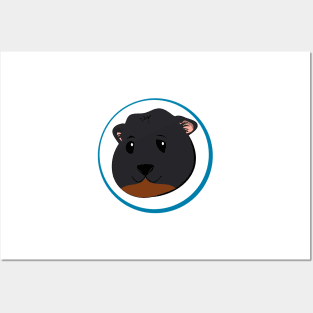 Guinea Pig - Charles Posters and Art